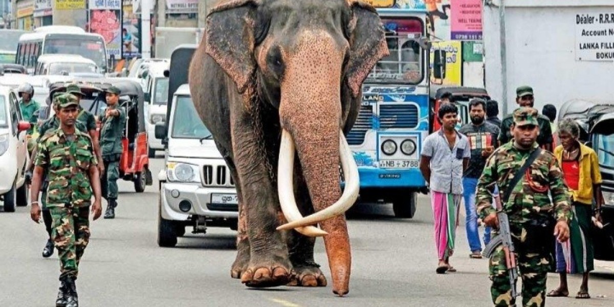 මහනුවර ඇසළ පෙරහැර මංගල්‍යයේ වැඩිම වාර ගණනක් සර්වඥ ධාතූන් වහන්සේලා වැඩම කල නැදුම්ගමුවේ රාජා