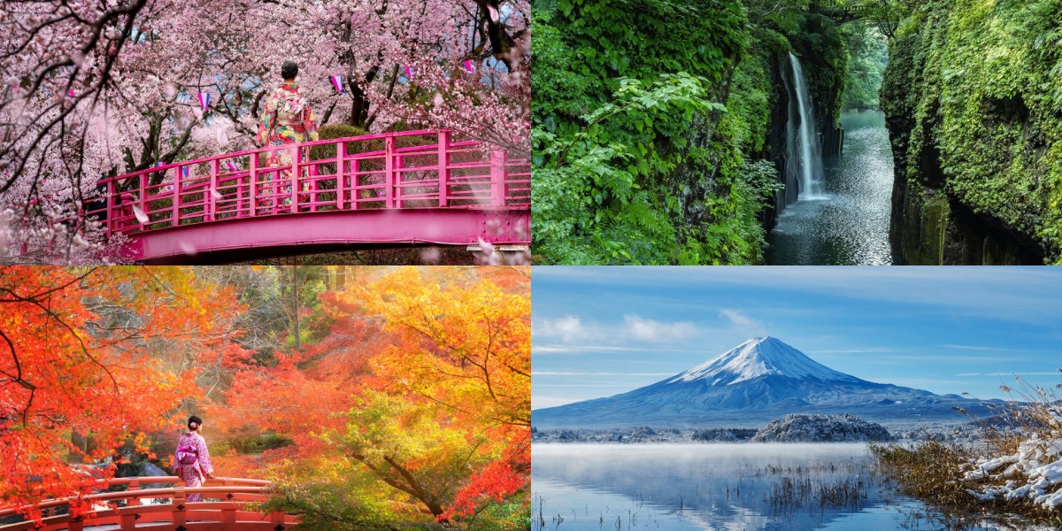 ❤️きれいな日本のきせつ