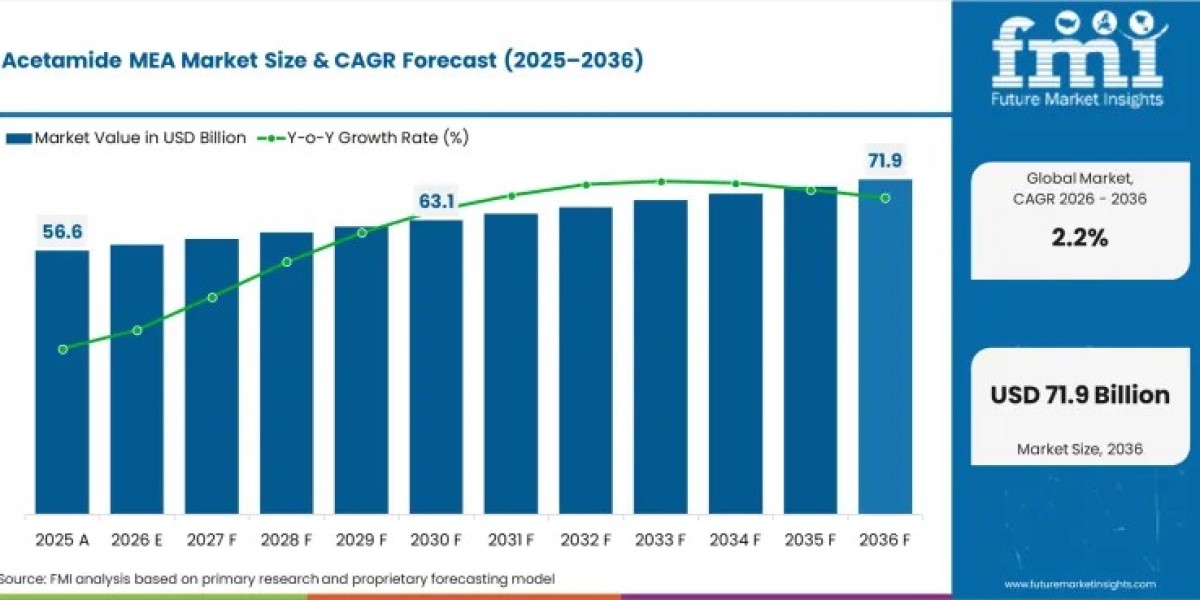 FMI Reveals Acetamide MEA Market Growing at 2.2% CAGR Through 2036