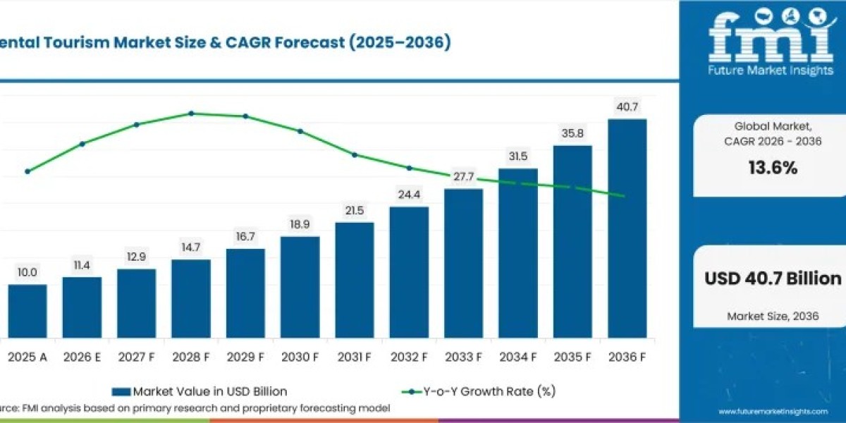 Dental Travel Market Trends: Cost Advantages, Consumer Preferences, and Market Dynamics