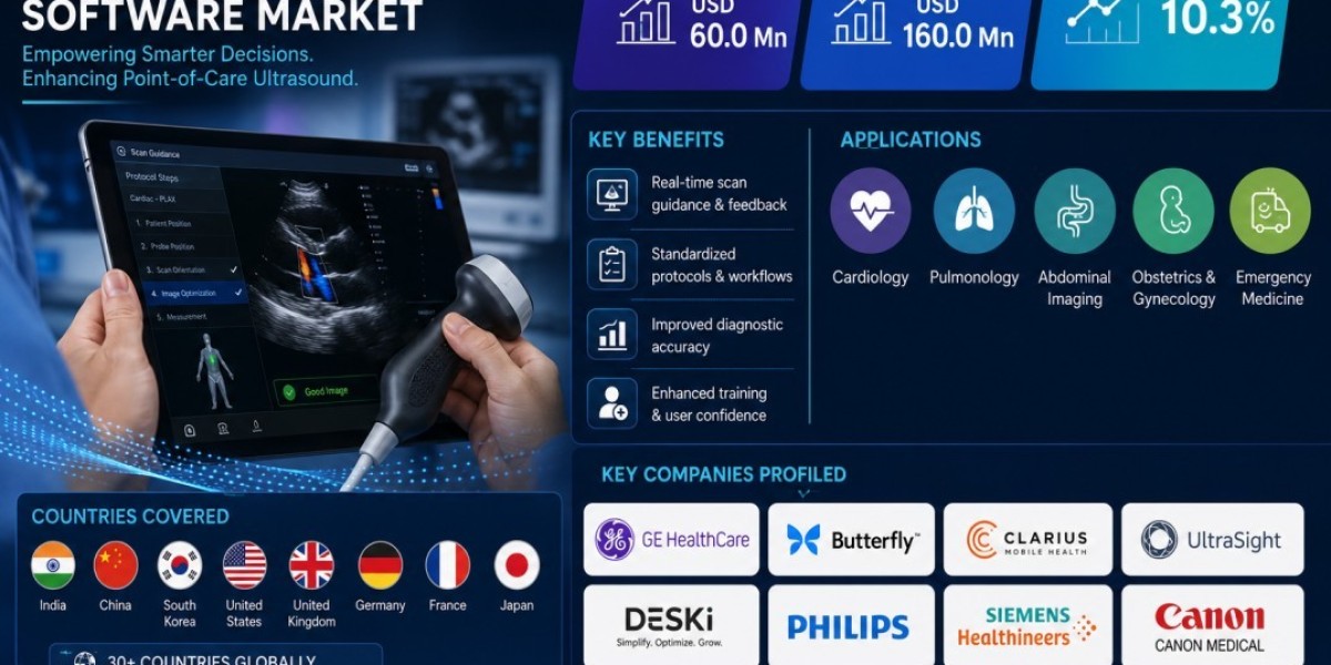 Portable Ultrasound Workflow Guidance Software Market: Global Industry Analysis