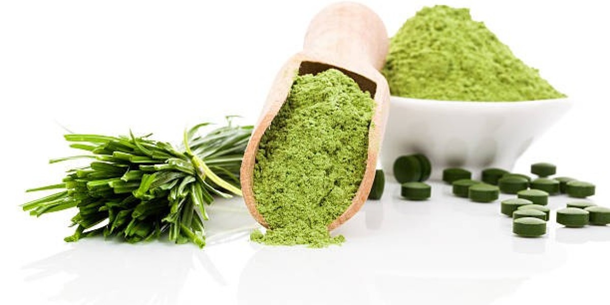 Chlorella Ingredients Market Outlook Supporting Functional Foods